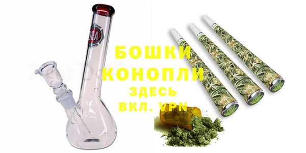 прущие грибы Касимов