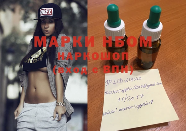 прущие грибы Касимов