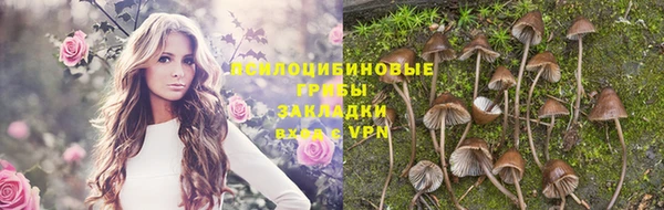 мяу мяу мука Кинешма