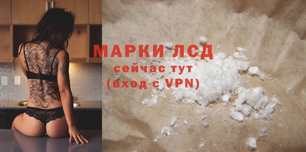 прущие грибы Касимов