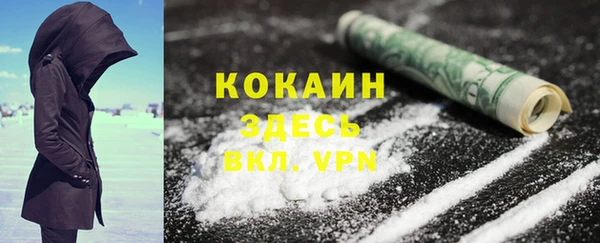 прущие грибы Касимов