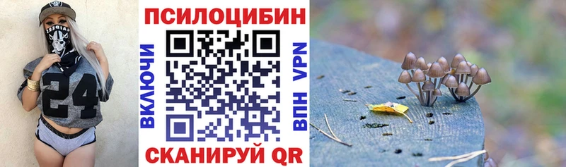 где купить наркоту  Клинцы  Галлюциногенные грибы прущие грибы 