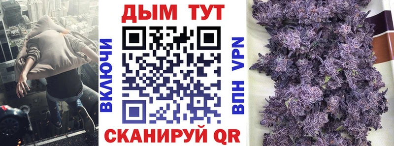 Бошки марихуана сатива Клинцы